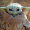 Picture of Admin User